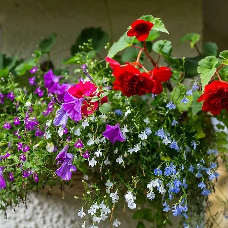 Sunrise Cottage, Quaint And Comfy By The District * Grange-over-Sands