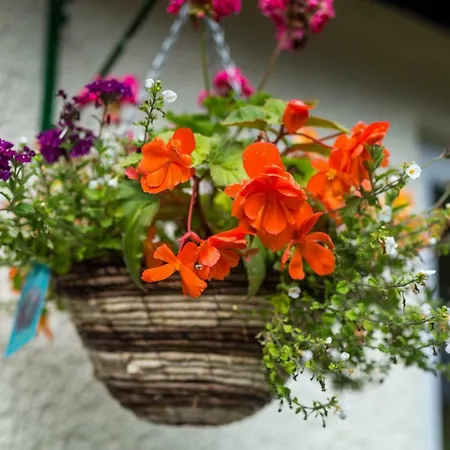 Tatil Evi Hampsfell Cottage, Quaint And Comfy By The District